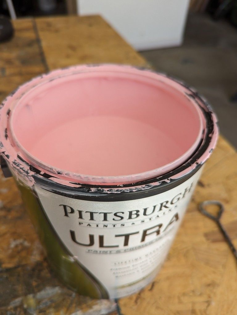 Pittsburgh Paints Gallon (Pink)