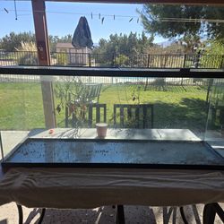 100 gallon glass terrarium