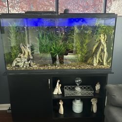 50 -55 Gallon Fish Tank , Stand All Essentials Included, Including Fish