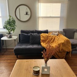 Blue Velvet Couch 