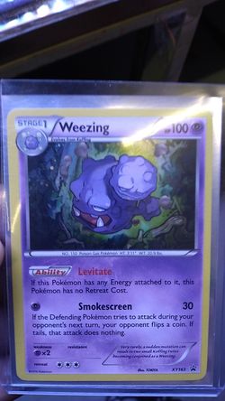 Weezzing pokemon