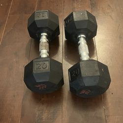 20 Pound Weights 2x