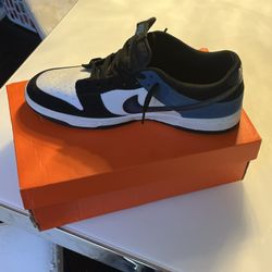 Size 12 Dunks 