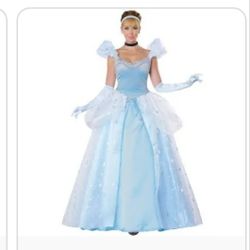 Disney, Halloween costume, Cinderella kids.4 Year Old Or 5 Year Old Maybe 3 Year Old High Quality