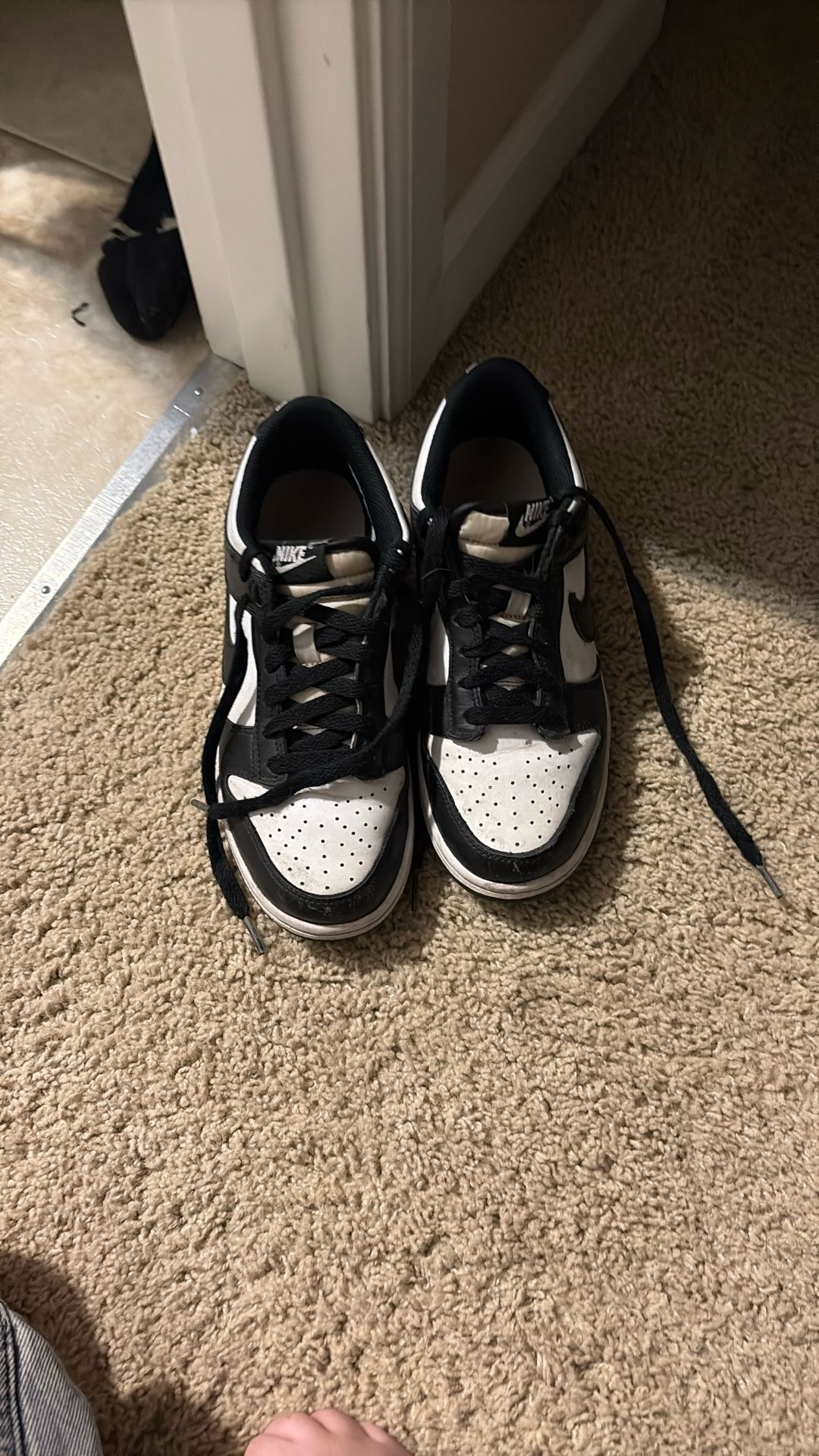 Nike Pandas .