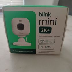 Blink Mini 2k Camara