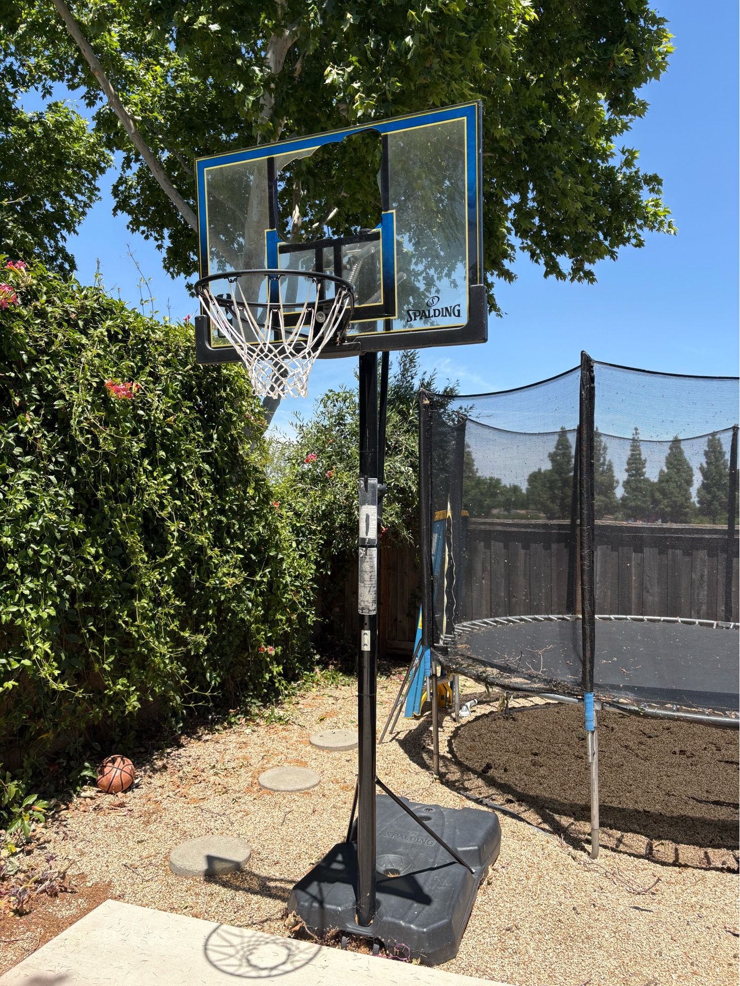 Free Basketball Hoop