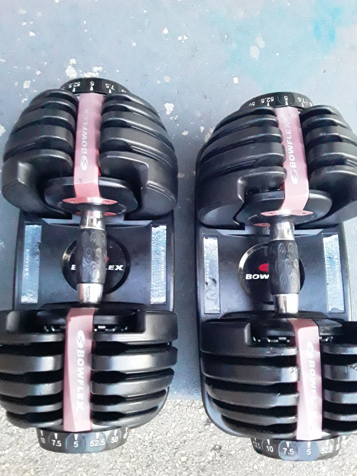 Bowflex dumbbells 552