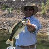 Mike Denton