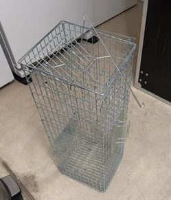 Live animal trap
