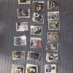 Thousands of mint MLB baseball cards