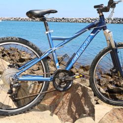 Giant 26” Med Tuned And Ready To Ride 