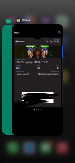 Houston Young Boy Ticket