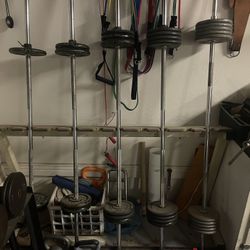 Rack Of Barbells - 60, 80, 100, 120 Lbs