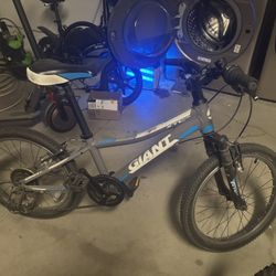 Giant XTC Jr.20 bike 2015 model 