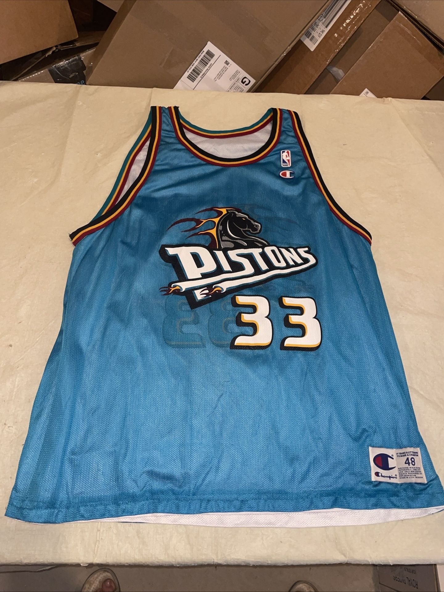 Reversible Grant Hill Teal Horse Champion JERSEY Men 48 DETROIT PISTons Vintage
