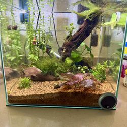 Aquarium 6 Gallon Cube