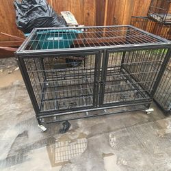 Dog Kennel 