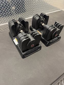 Bowflex SelectTech 560 Dumbbell (Pair)