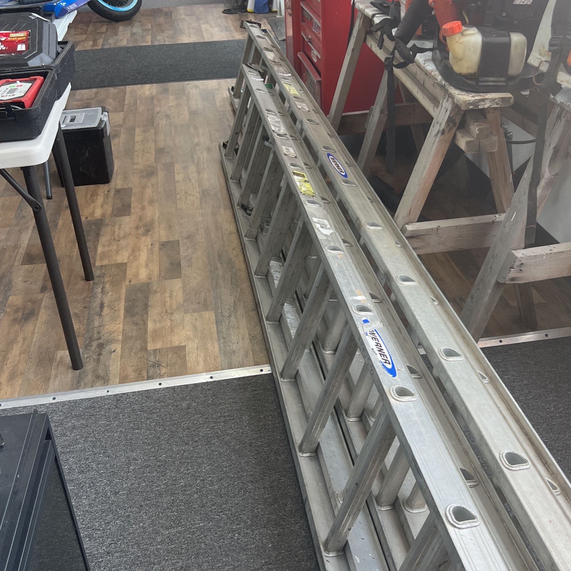 Werner Ladders