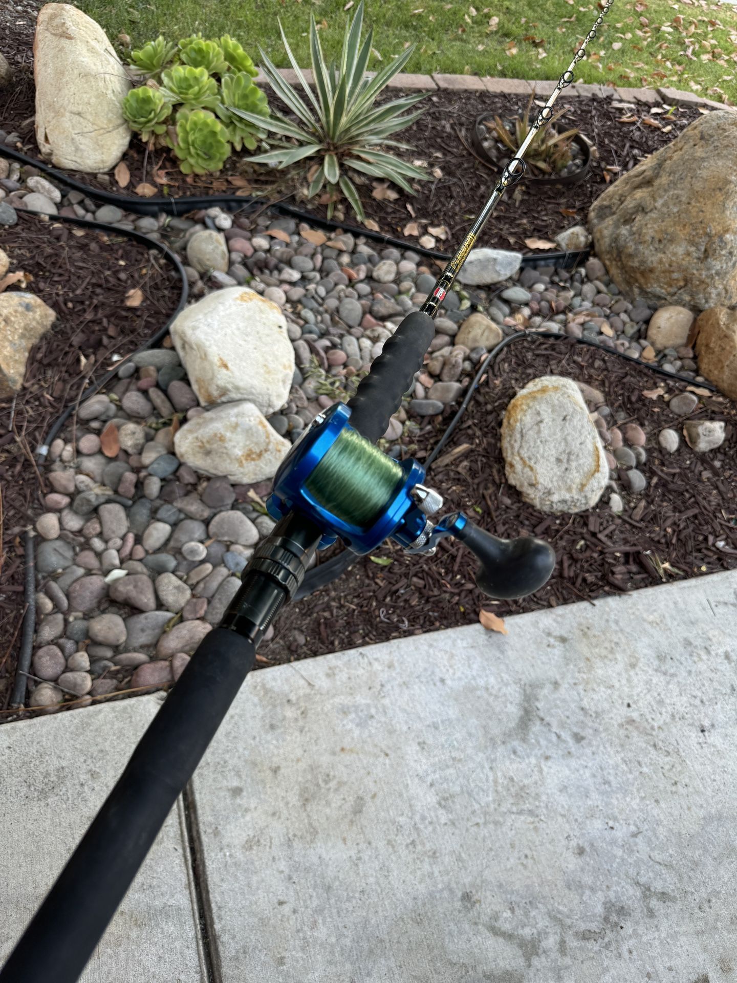 Penn Carnage Avet MXL 5.8.1 Conventional Fishing Combo. for Sale in