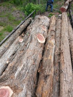 Post For palapas and porchs CEDAR