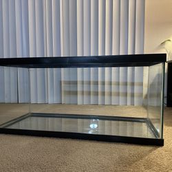 40g Tank