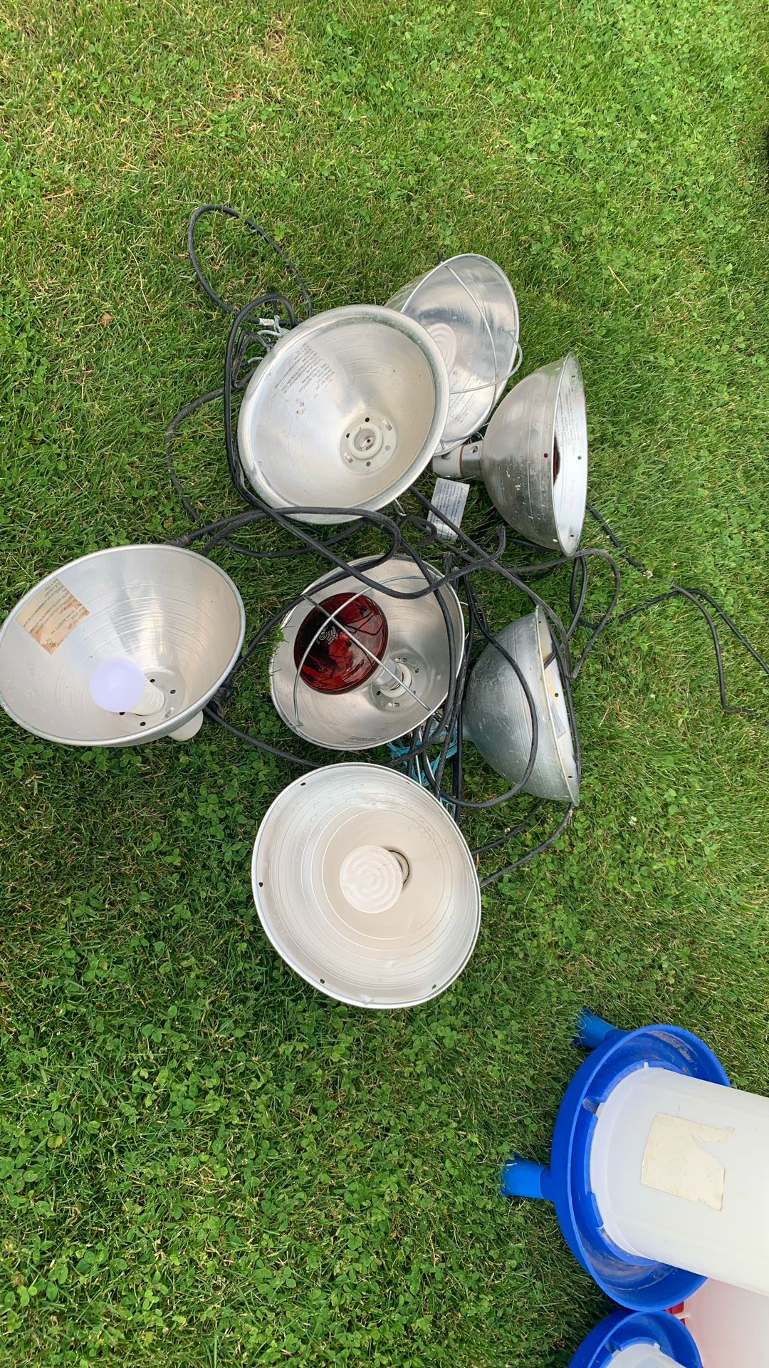 Heating Lamps
