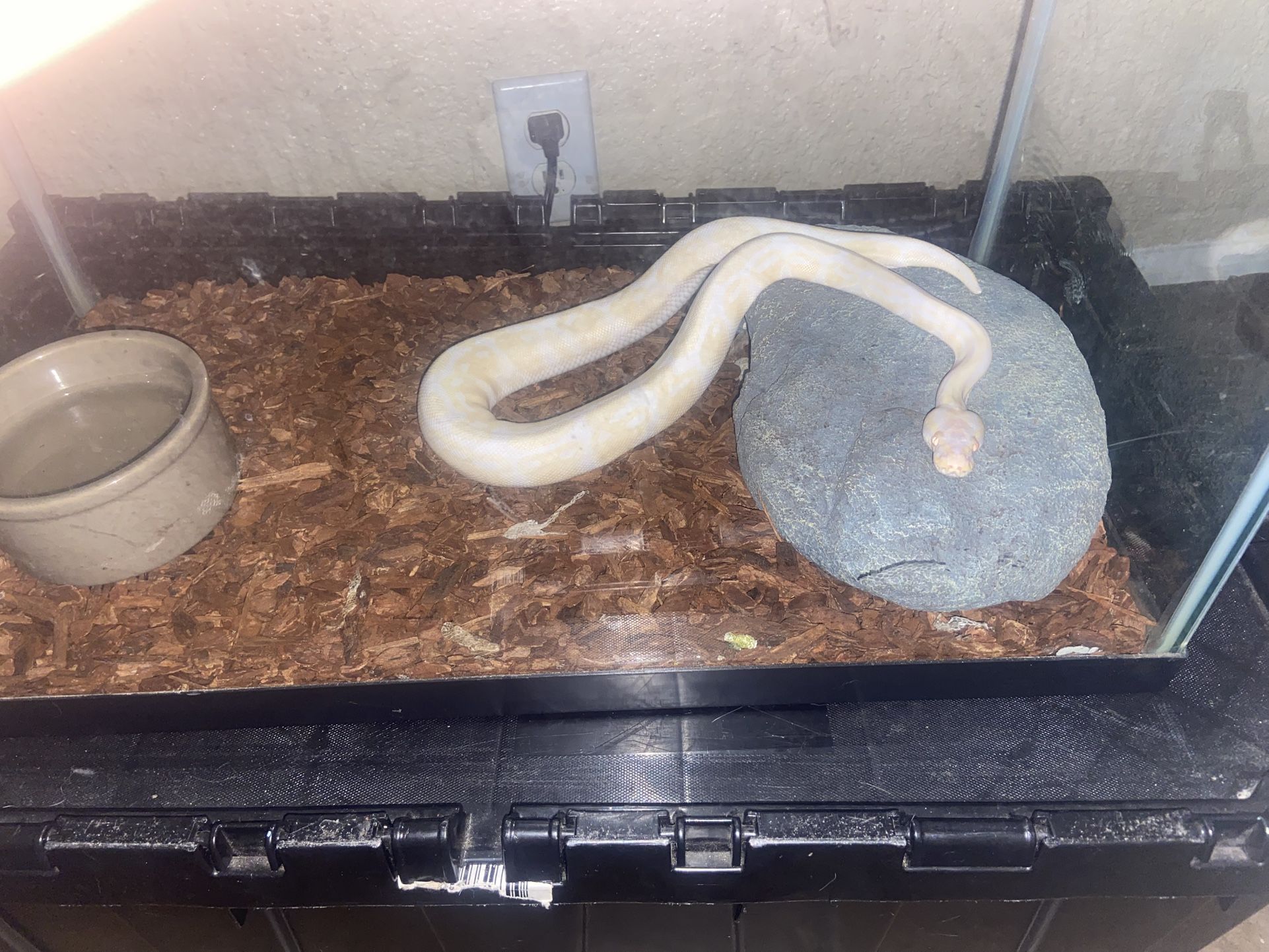 Snake 🐍 Tank With Built in Heat pad 