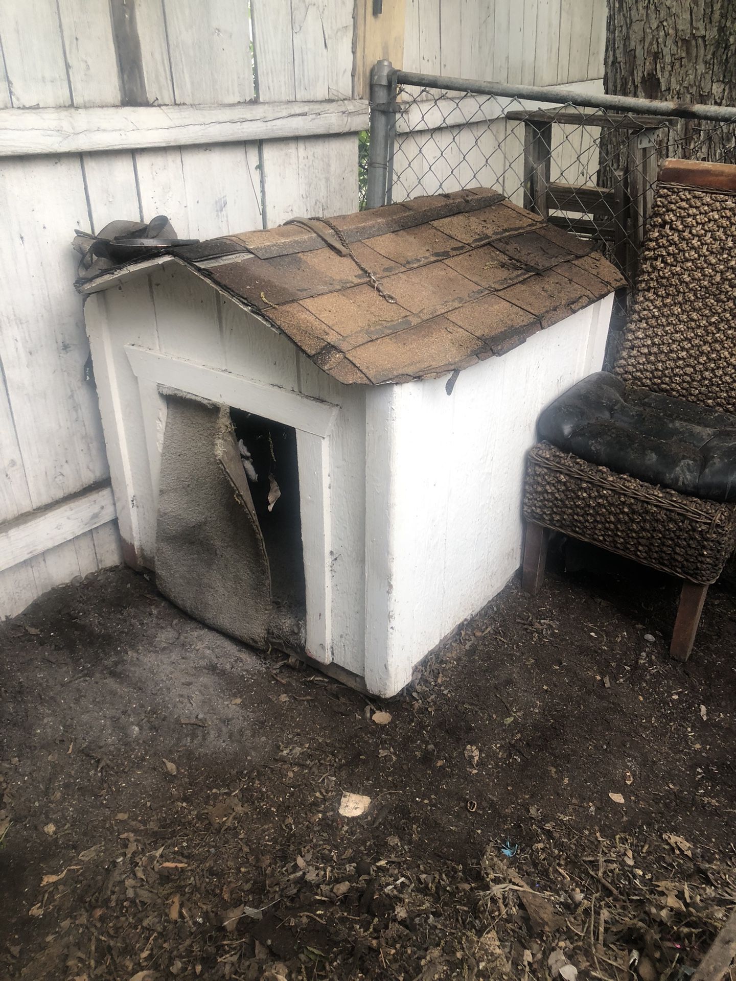 Dog House