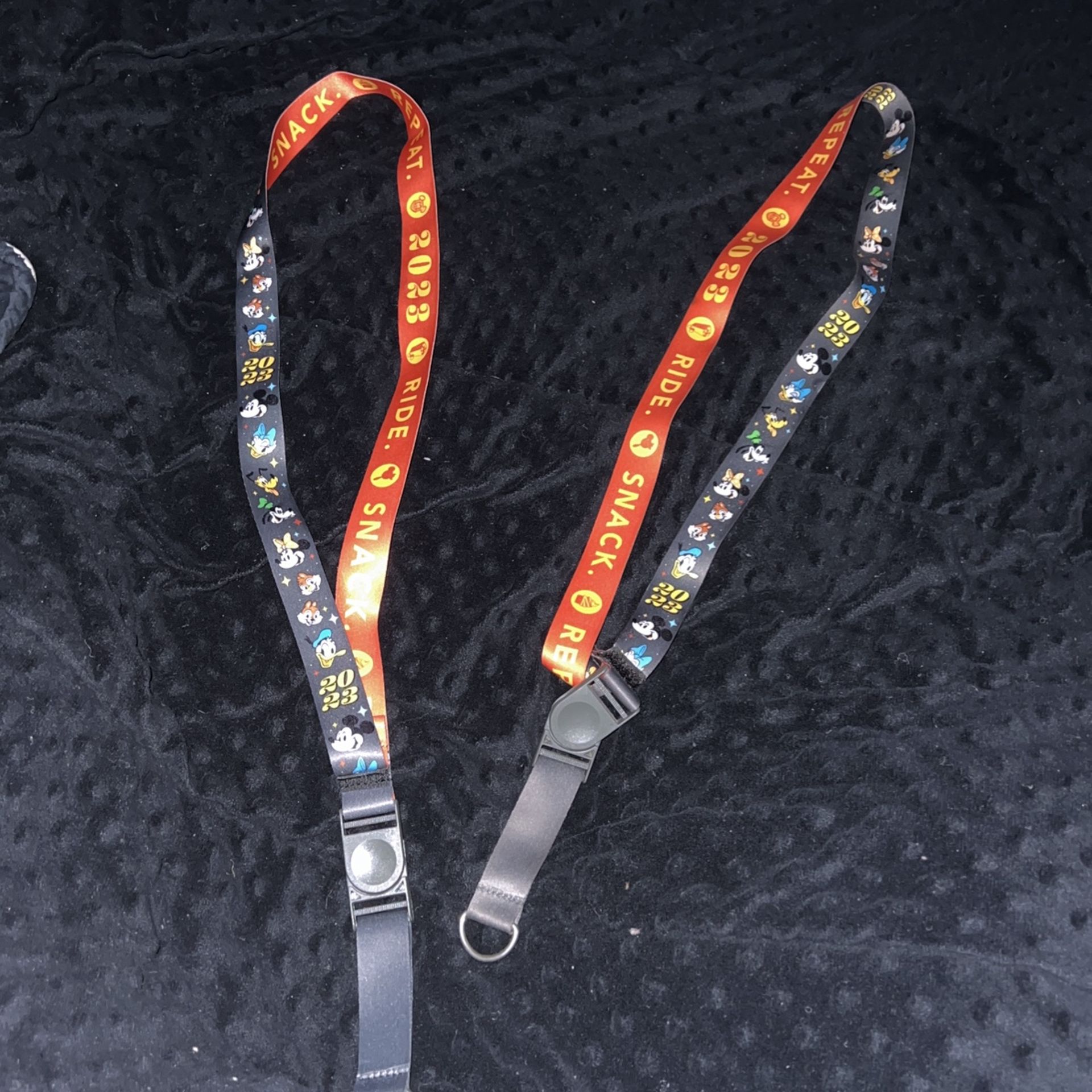 Disneyland Lanyards New