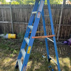 6ft Ladder 