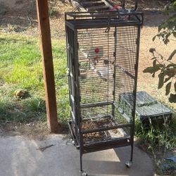Parrot cage 80$