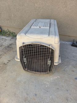 Large dog crate
