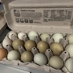 Farm Product 