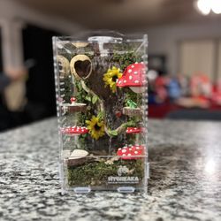 Whimsical Mushroom Fairy Jumping Spider Enclosure 