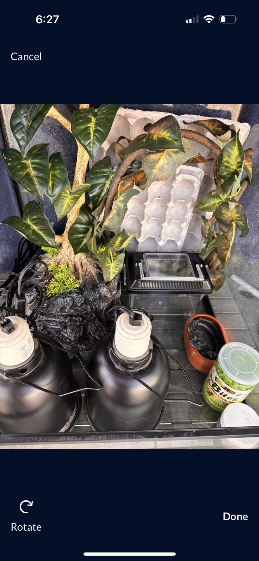 Chameleon Starter Kit