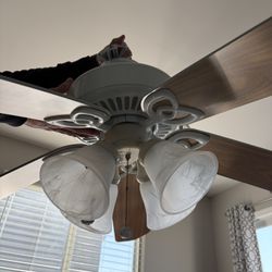 Hampton Bay Ceiling Fan