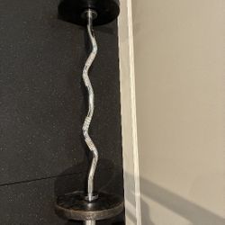 Curl Bar With 4 -22lb Weight Plates 