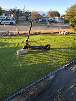 Electric Scooter Pro