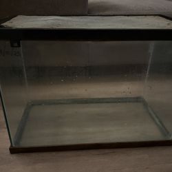 Aquarium / Terrarium Tank 30 Gal