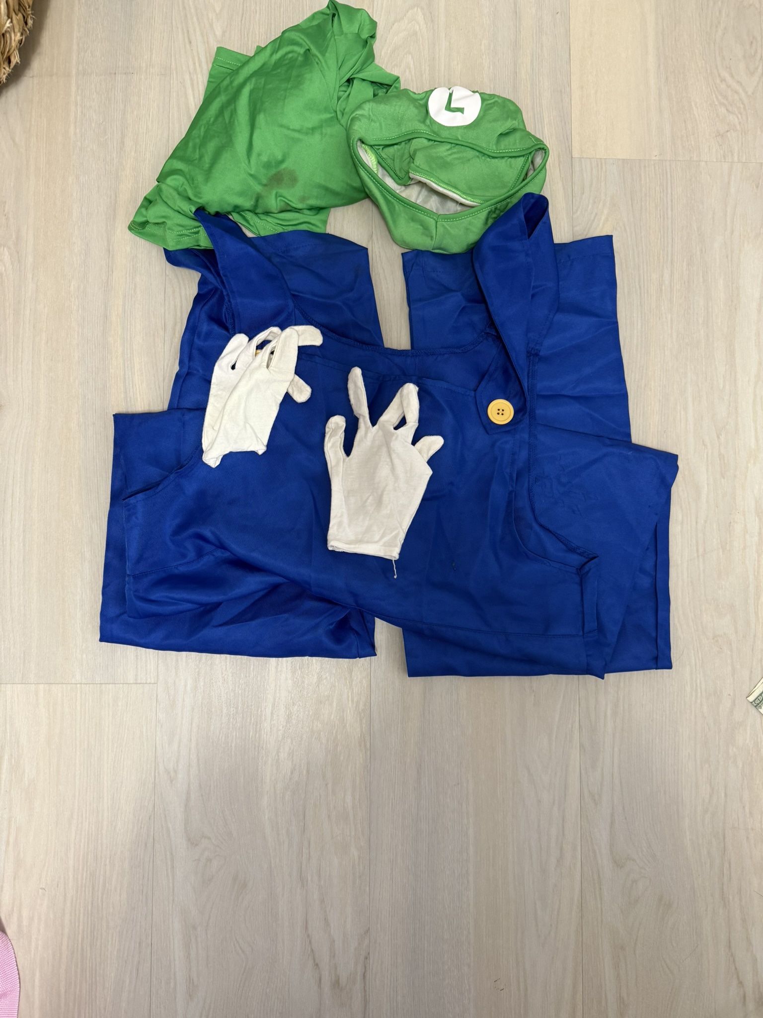Luigi Nintendo  Costume