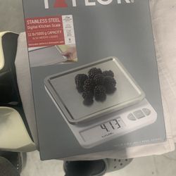 Taylor Digital Kitchen Scale 