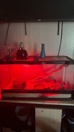 Reptile enclosure 30x17x12 everything included