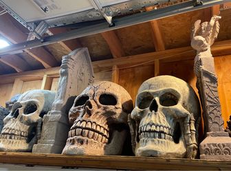 Halloween Large Skulls