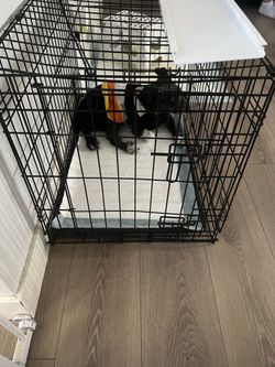 Black Wire Dog Crate with Tray