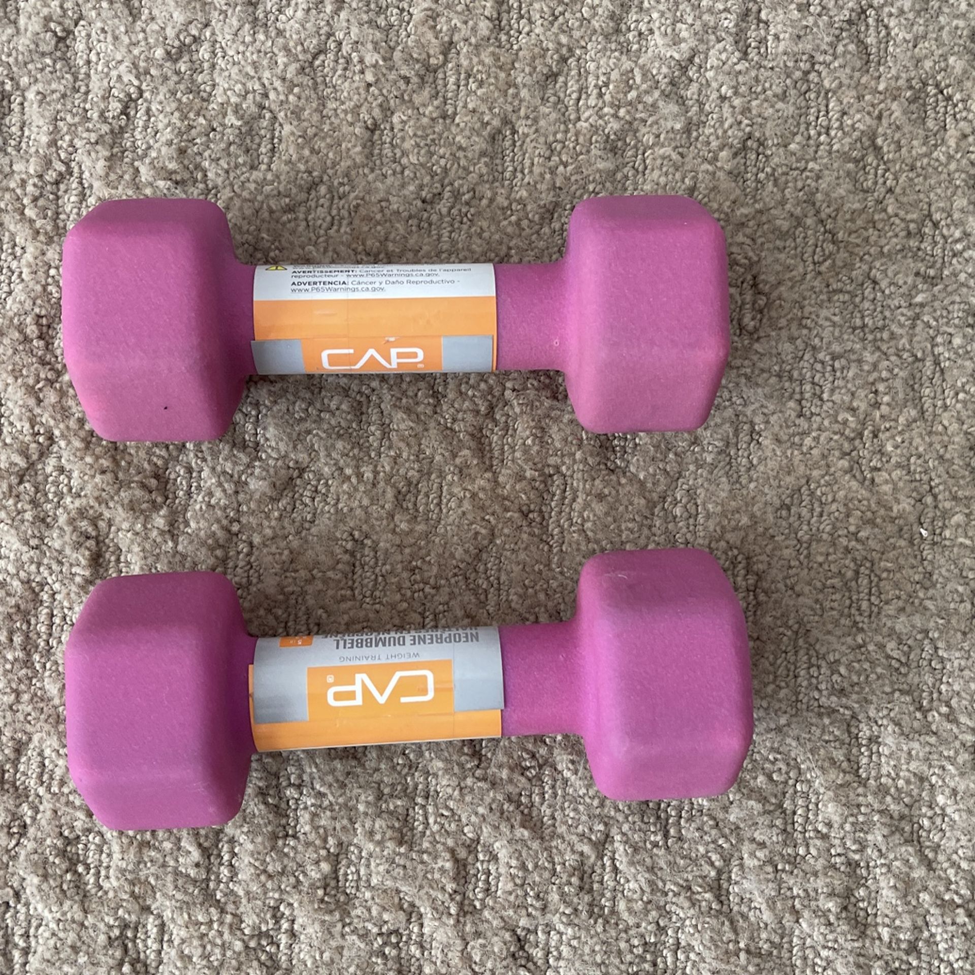 5 Lb Dumbbell Pair