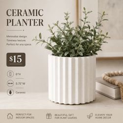 Medium Planter
