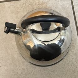 Stainless Steel Tea Kettle 