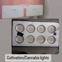 Cultivating /Cannabis Lights 